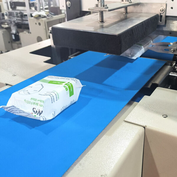 Reciprocating Type Flow Packaging Machine - Image 9