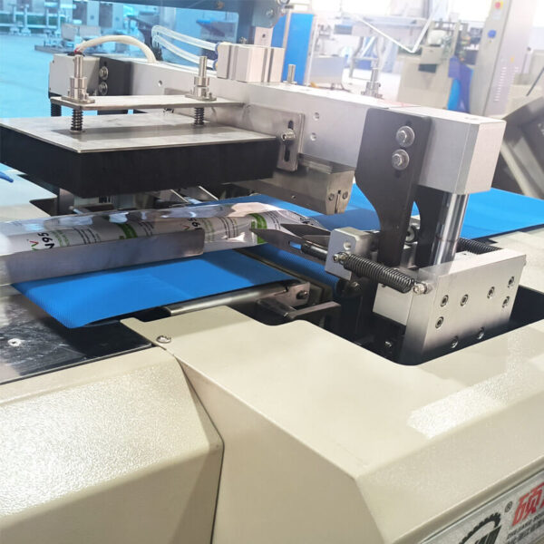 Reciprocating Type Flow Packaging Machine - Image 8