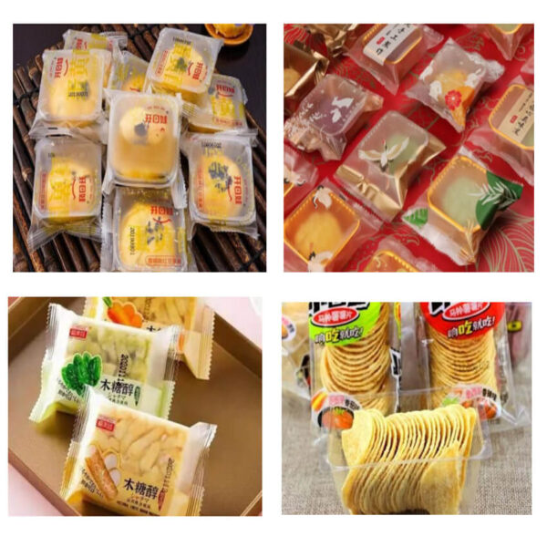Reciprocating Type Flow Packaging Machine - Image 10